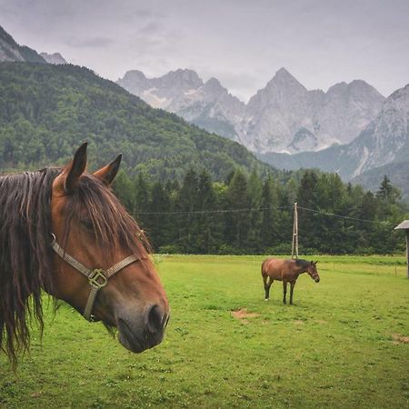Klass 210 Kranjska Gora Eksteriør bilde