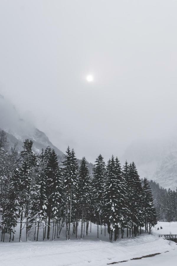 Klass 210 Kranjska Gora Eksteriør bilde