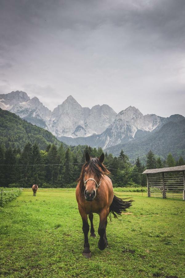 Klass 210 Kranjska Gora Eksteriør bilde