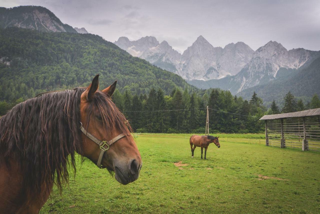 Klass 210 Kranjska Gora Eksteriør bilde